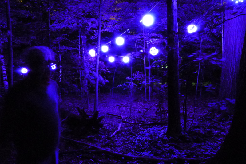 Illustration for article titled What Is The Meaning Of These Strange Glowing Shapes In The Wilderness?